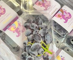 Nho Kẹo Candy Crunch Cordoma