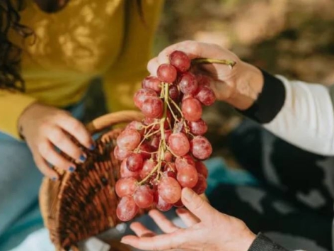 Ăn nho lâu dài có thể tăng cơ ở 'cấp độ di truyền'