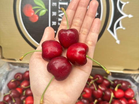 Tại sao cherry tốt cho sức khỏe?