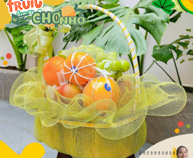 GIỎ QUÀ TẶNG TRÁI CÂY TẶNG ĐÁM GIỖ | MS 002