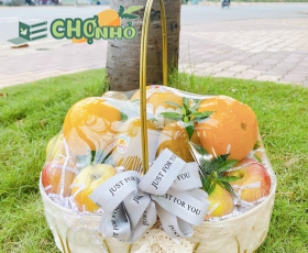 Giỏ quà tặng trái cây nhập khẩu mẫu đẹp