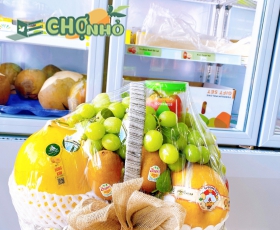 Giỏ quà tặng trái cây nhập khẩu thăm hỏi mẫu mới