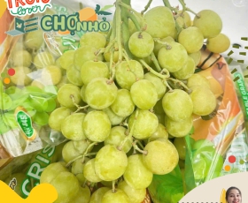 NHO XANH MỸ | Autumn Crisp