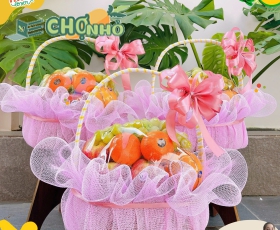 GIỎ QUÀ TRÁI CÂY NHẬP KHẨU TẶNG NGÀY PHỤ NỮ VIỆT NAM | MS 001