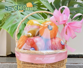 GIỎ QUÀ TRÁI CÂY NHẬP KHẨU TẶNG NGÀY PHỤ NỮ VIỆT NAM | MS 011