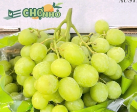 Nho xanh Úc