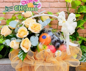 GIỎ TRÁI CÂY NHẬP KHẨU T|bd 01