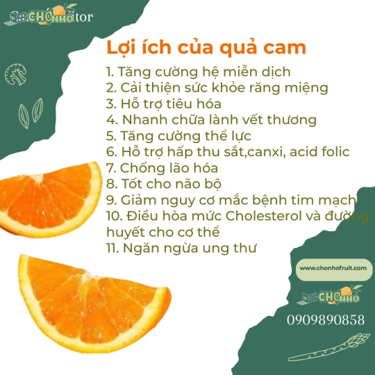 Cam Vàng Úc 