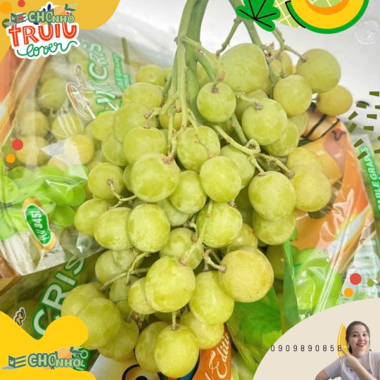NHO XANH MỸ | Autumn Crisp