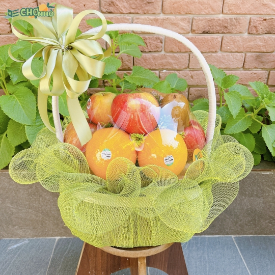 GIỎ QUÀ TẶNG TRÁI CÂY NHẬP KHẨU | MS119