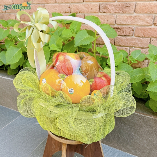GIỎ QUÀ TẶNG TRÁI CÂY NHẬP KHẨU | MS119