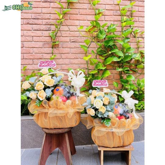 GIỎ TRÁI CÂY NHẬP KHẨU T|bd 01