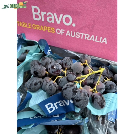 NHO ĐEN BRAVO ÚC