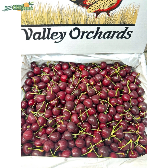 Cherry Orchard chủng Blackpearl